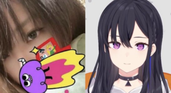ネットで拡散した写真の真偽